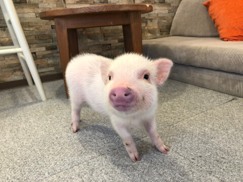 2020/6/30撮影